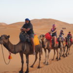 WanderSinghs on Camels
